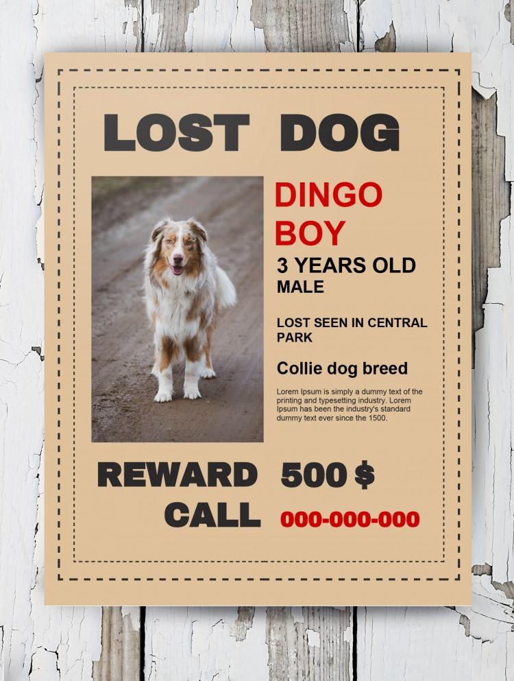 lost dog poster maker